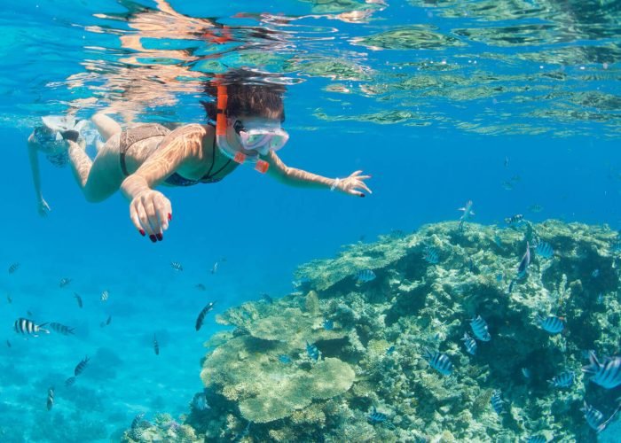 Foto Magnifica De Uma Mulher Bonita Praticando Snorkeling Em Sharm El Naqah