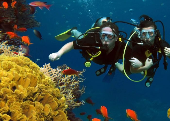 Mergulho De Sharm El Sheikh No Parque Natural De Ras Mohammed