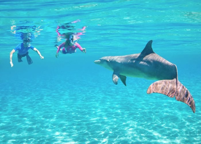 Otima Foto De Duas Pessoas Com Um Golfinho Debaixo D Agua