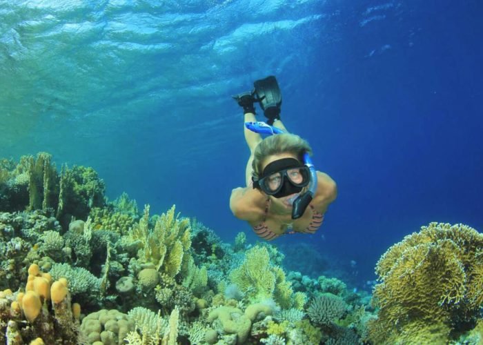 Otima Foto De Um Turista Em Um Passeio De Snorkeling